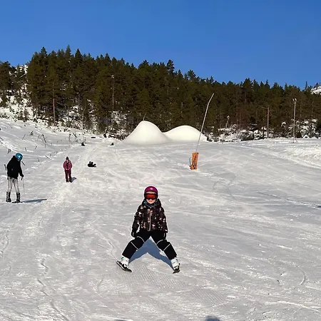 Сasa de vacaciones Hygge Pa Fjellet Øyuvstad