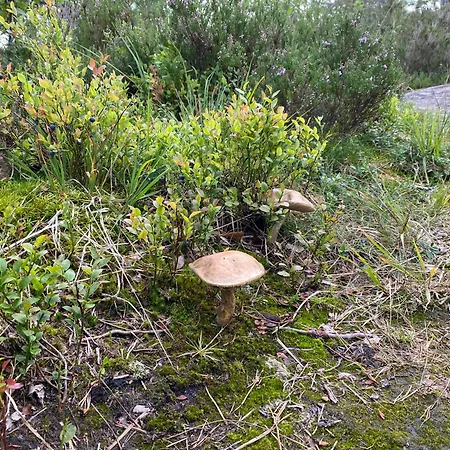 Сasa de vacaciones Hygge Pa Fjellet Øyuvstad