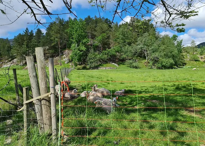 Prázdninový dům Hygge Pa Fjellet Øyuvstad