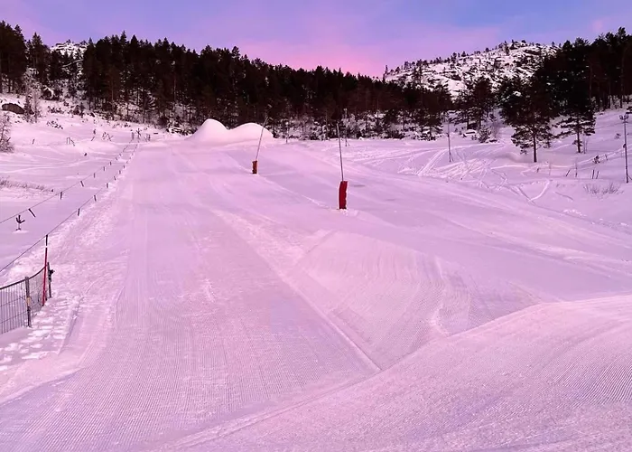 Hébergement de vacances Hygge Pa Fjellet *